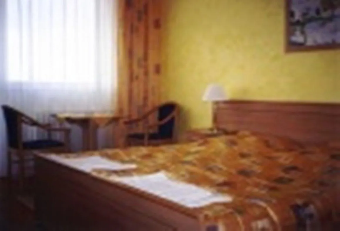 ***  Hotel Baratsag Hajdúszoboszló Hongarije